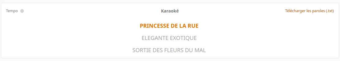 Affichage karaoké et téléchargement des paroles
