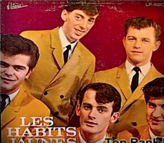 Les Habits Jaunes (Groupe)