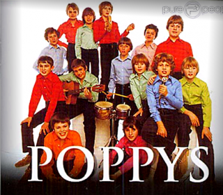 Les Poppys (Groupe)